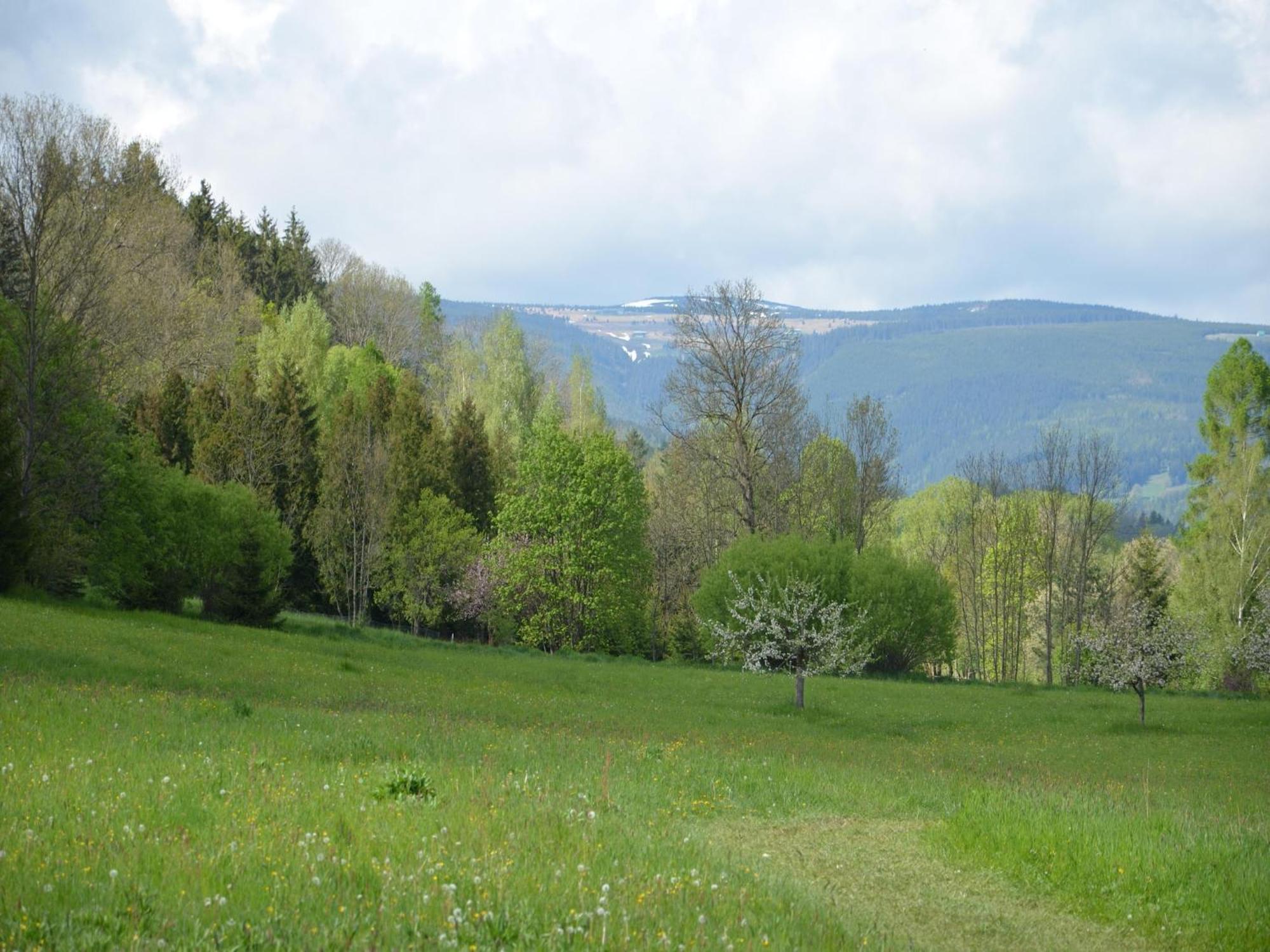 Apartment In Bohemian With Private Terrace Dolni Lanov 외부 사진